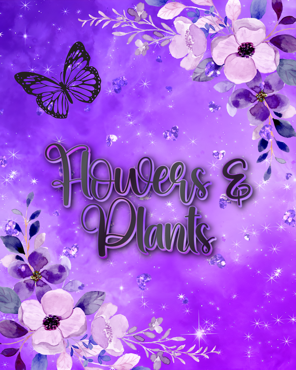 Flowers & Plants